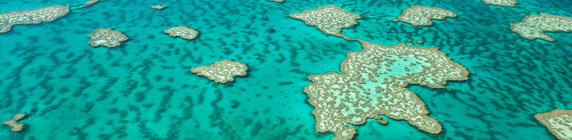 Hotels &amp; Lodges Great Barrier Reef